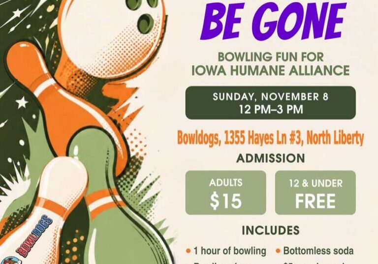 Event flyer for a bowling fundraiser for Iowa Humane Alliance on November 8.